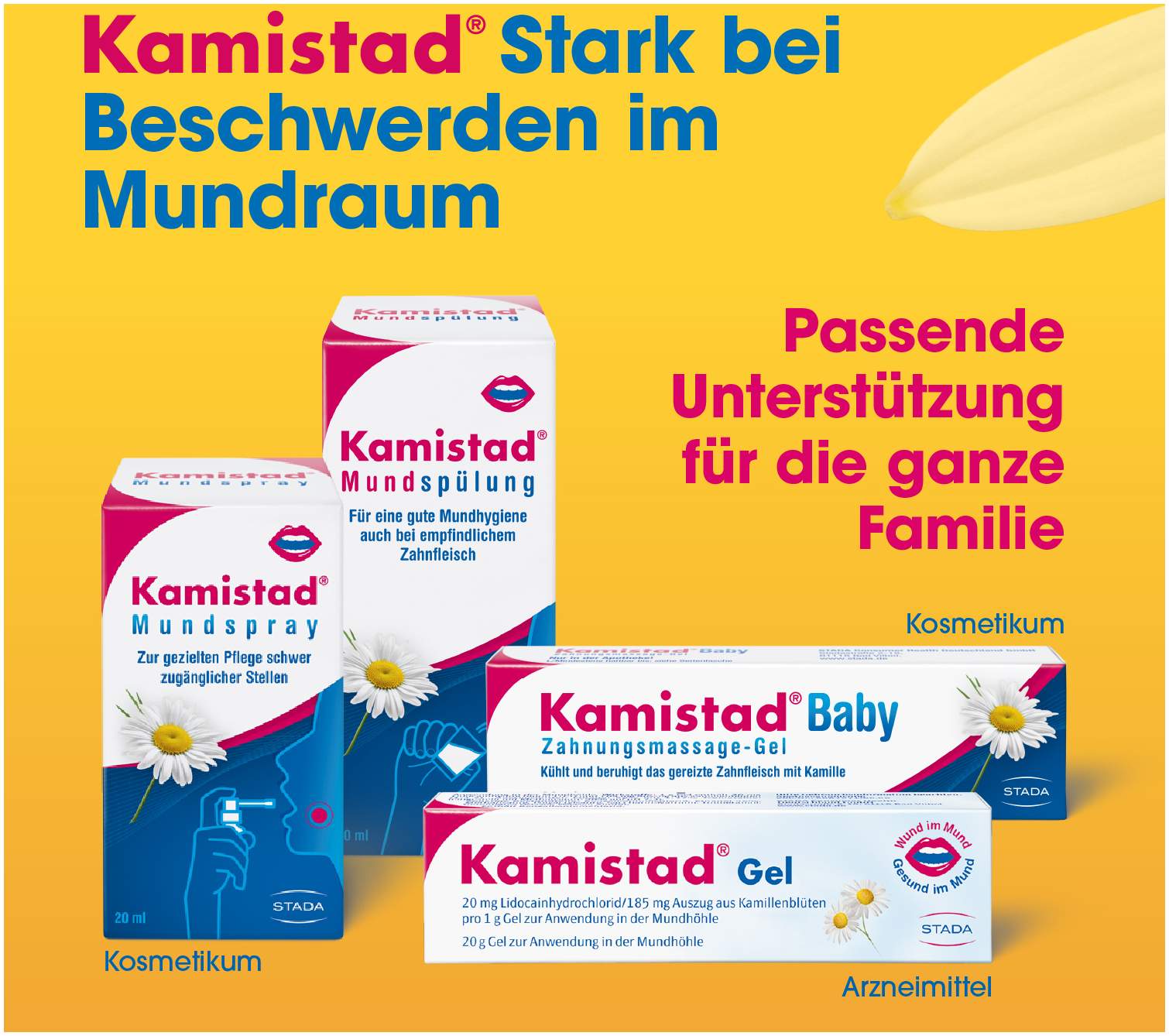 Kamistad Gel 20 g Gel
