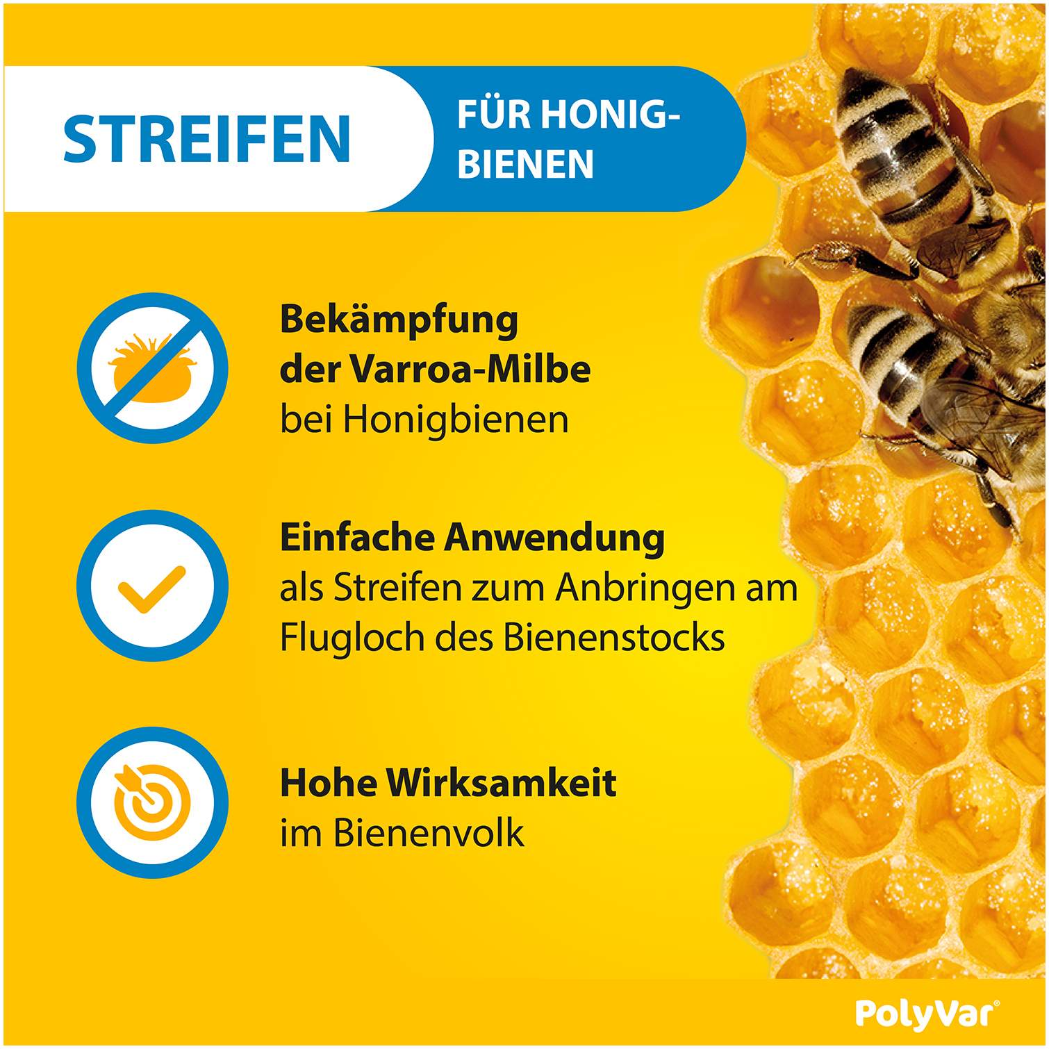 Polyvar Yellow 275 mg imprägnierter Streifen für den Bienenstock 10 Streifen
