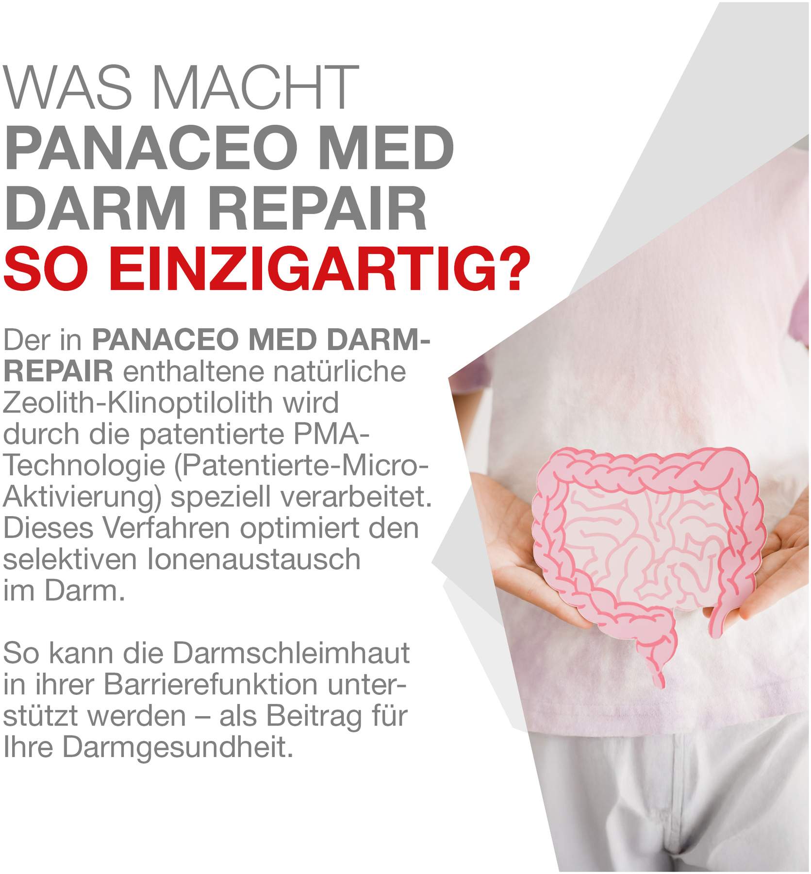 Panaceo Med Darm Repair 400 G Pulver
