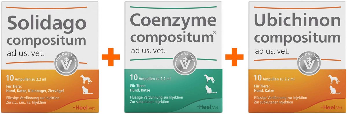 Solidago Compositum ad us.vet 10 Stk. + Ubichinon Compositum ad us.vet. 10 Stk. + Coenzym Compositum ad us.vet. 10 Stk.