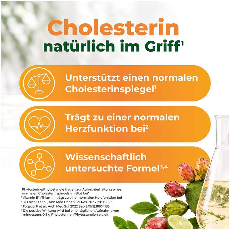 Armolipid Cholesterin Plus 90 Tabletten