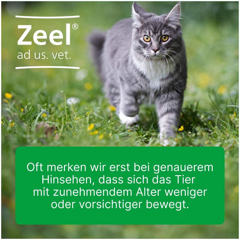 Zeel ad us. vet. 100 Tabletten