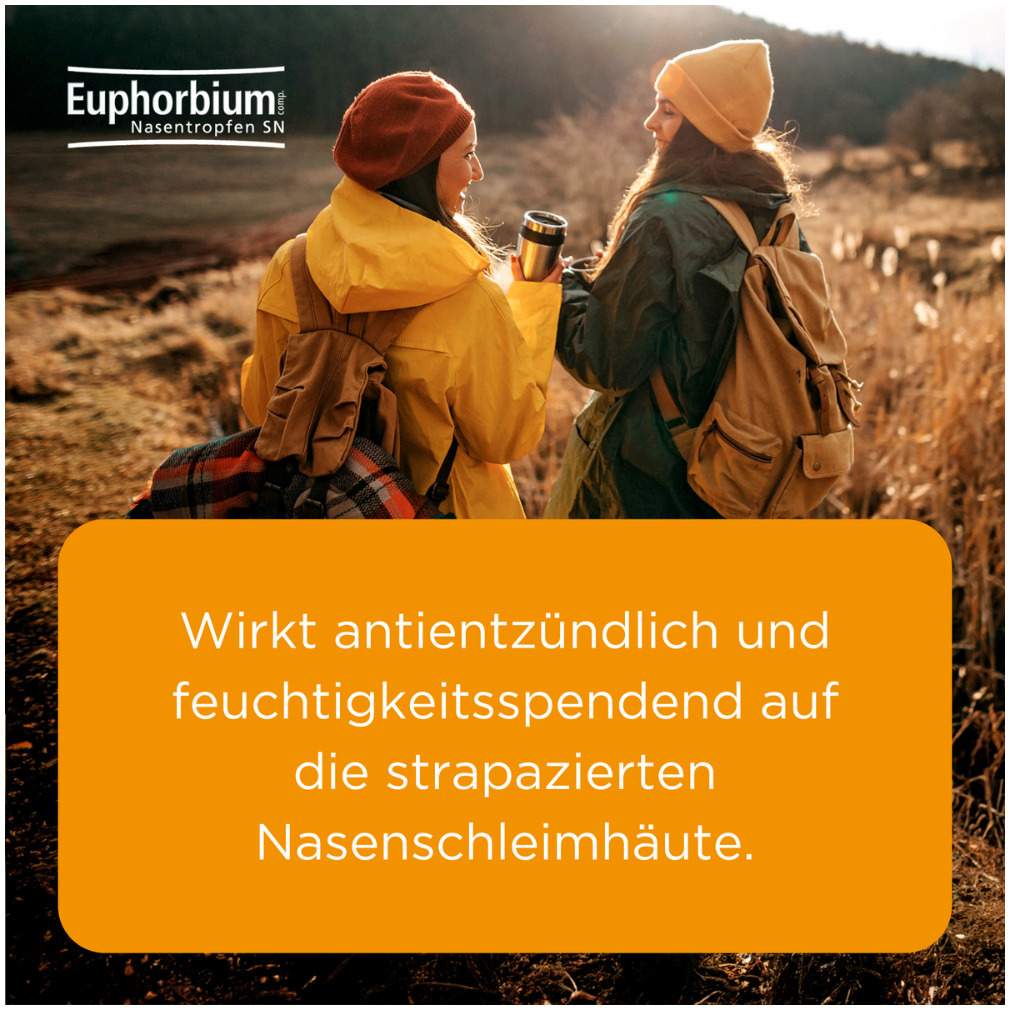 Euphorbium comp. Nasentropfen SN 20 ml Nasendosierspray