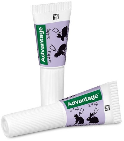 Advantage 80 mg für Katzen und Zierkaninchen über 4 kg 4 x 0,8 ml Lösung