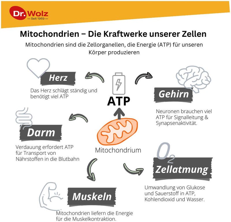 Zell Oxygen Plus 250 ml Flüssigkeit
