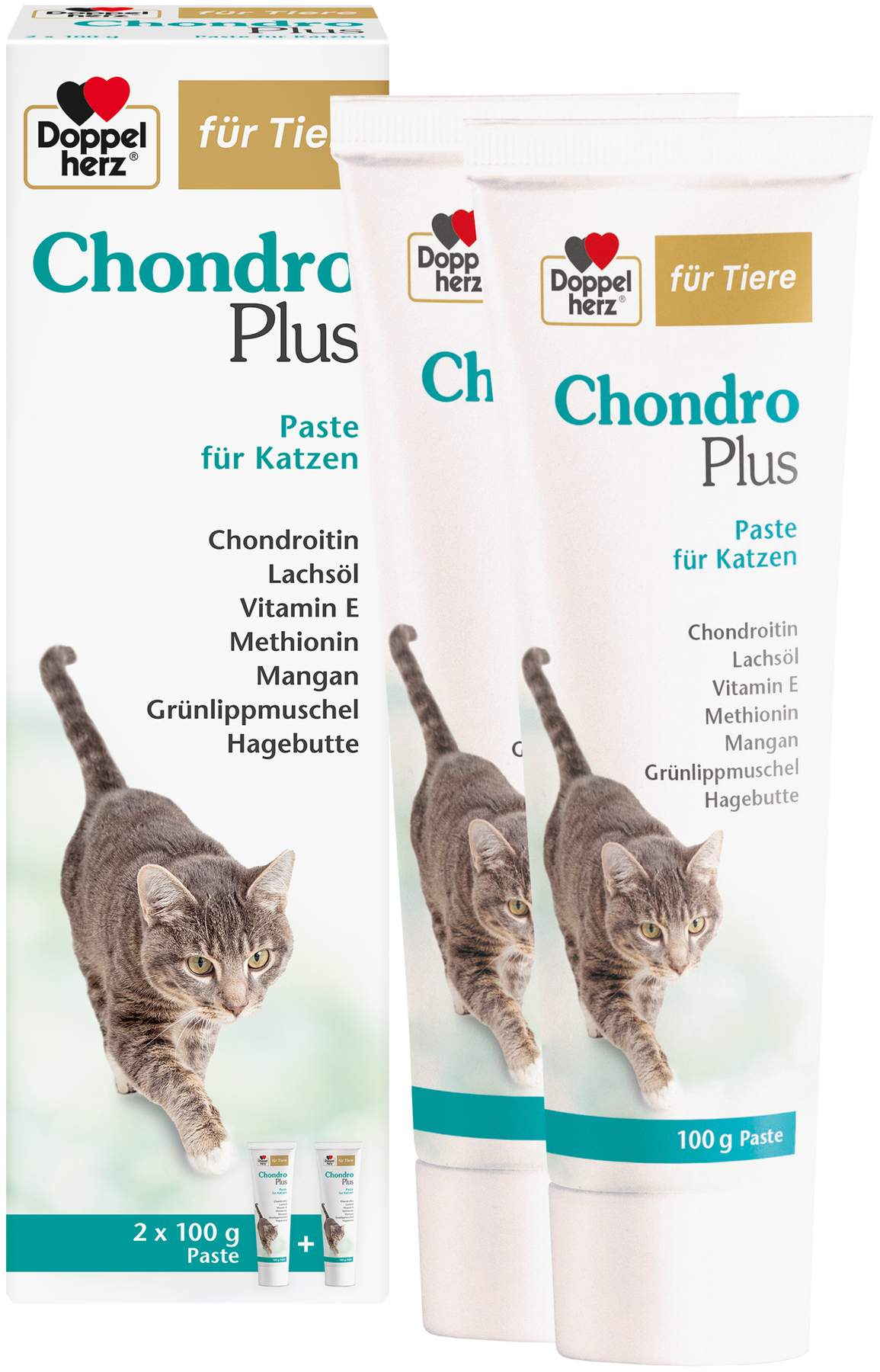 Doppelherz Für Tiere Chondro Plus Paste Für Katzen 200 G
