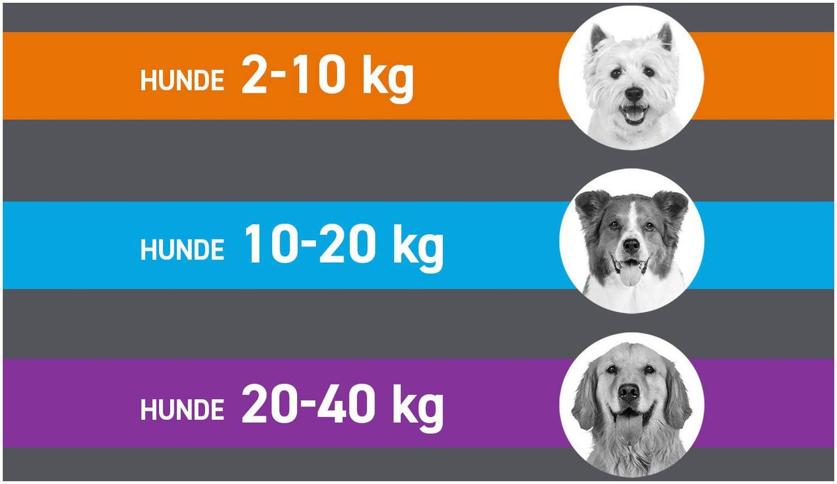 Frontline Spot On Hund M 10-20 kg 6 Pipetten