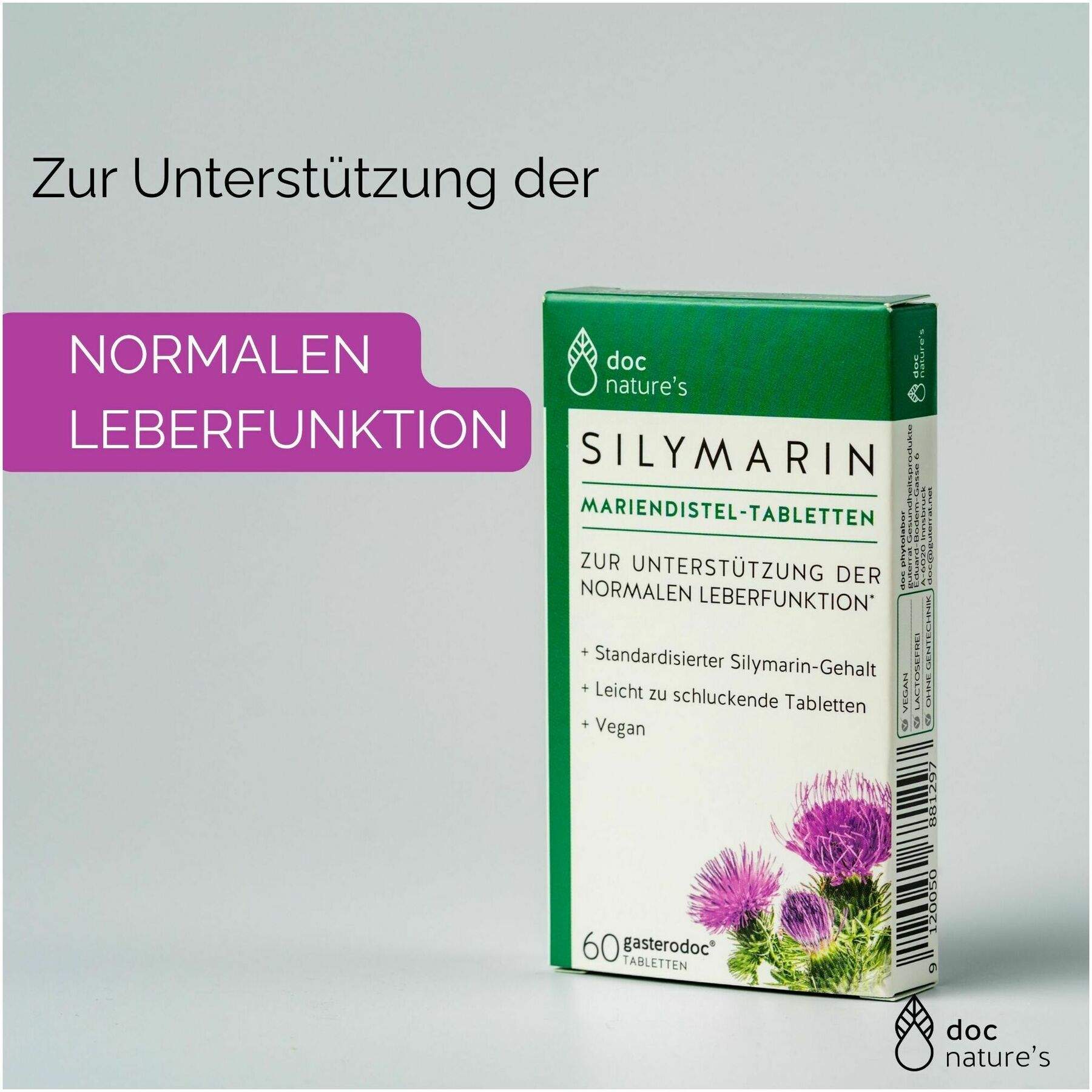Gasterodoc Silymarin Mariendistel 60 Tabletten