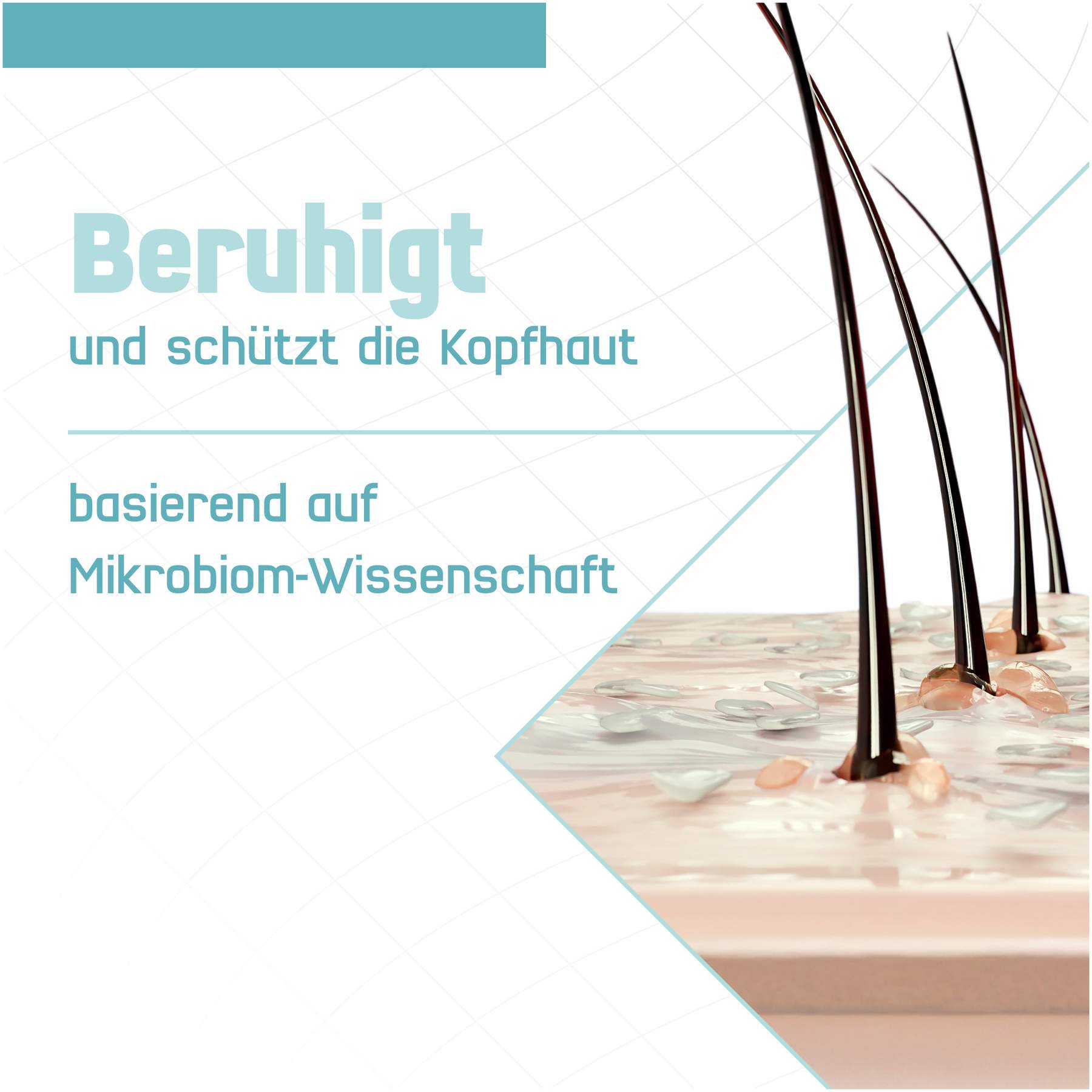 Terzolin Expert Spülung 200 ml