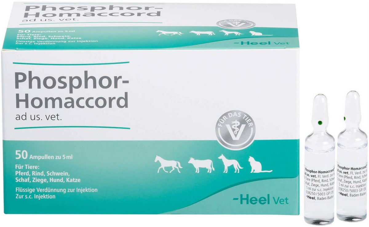Phosphor Homaccord Ad Us.Vet. 50 Ampullen