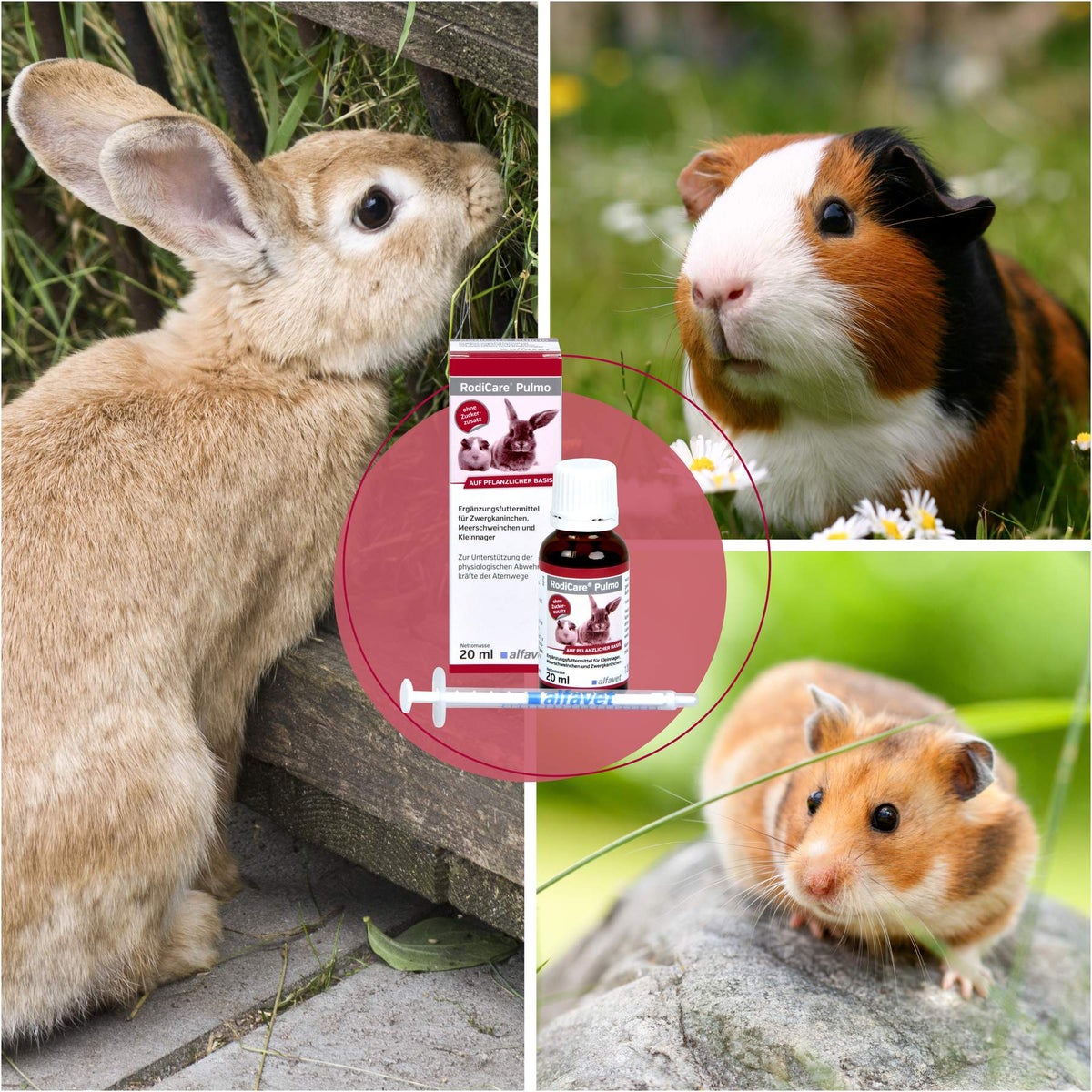 Rodicare Pulmo 20 ml Flüssigkeit für Zwergkaninchen, Meerschweinchen und Kleinnager