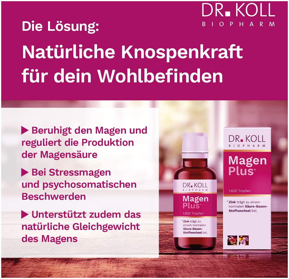 Magen Plus Dr.Koll Gemmo Feige Linde Zink Tropfen 50ml