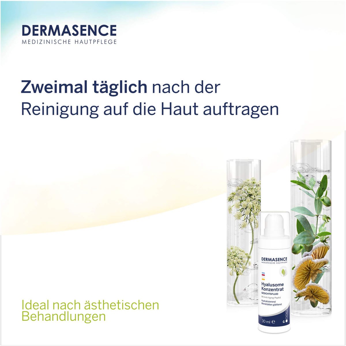 Dermasence Hyalusome Konzentrat 30 ml