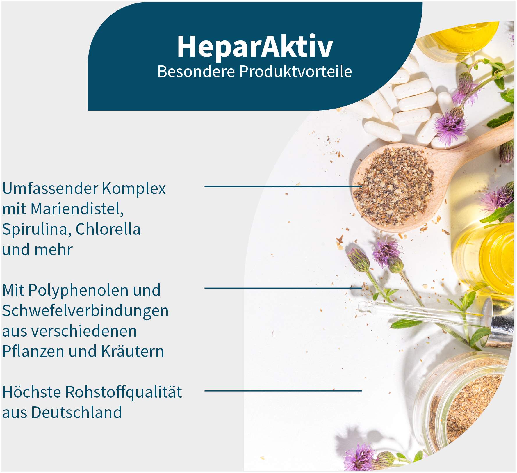 Heparaktiv Sod + Bio-Mariendistel + Bio-Koriander 120 Kapseln