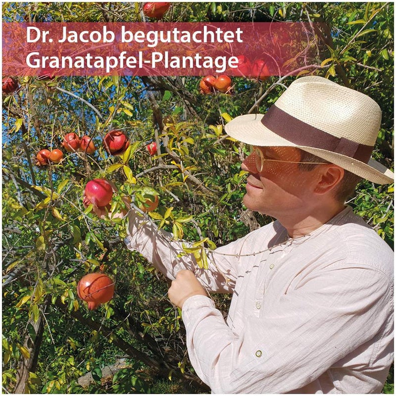 Granatapfel Weihrauch Creme 50 ml