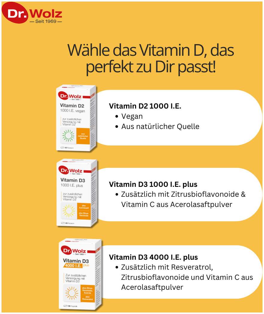 Vitamin D2 1000 I.E. Vegan 60 Kapseln