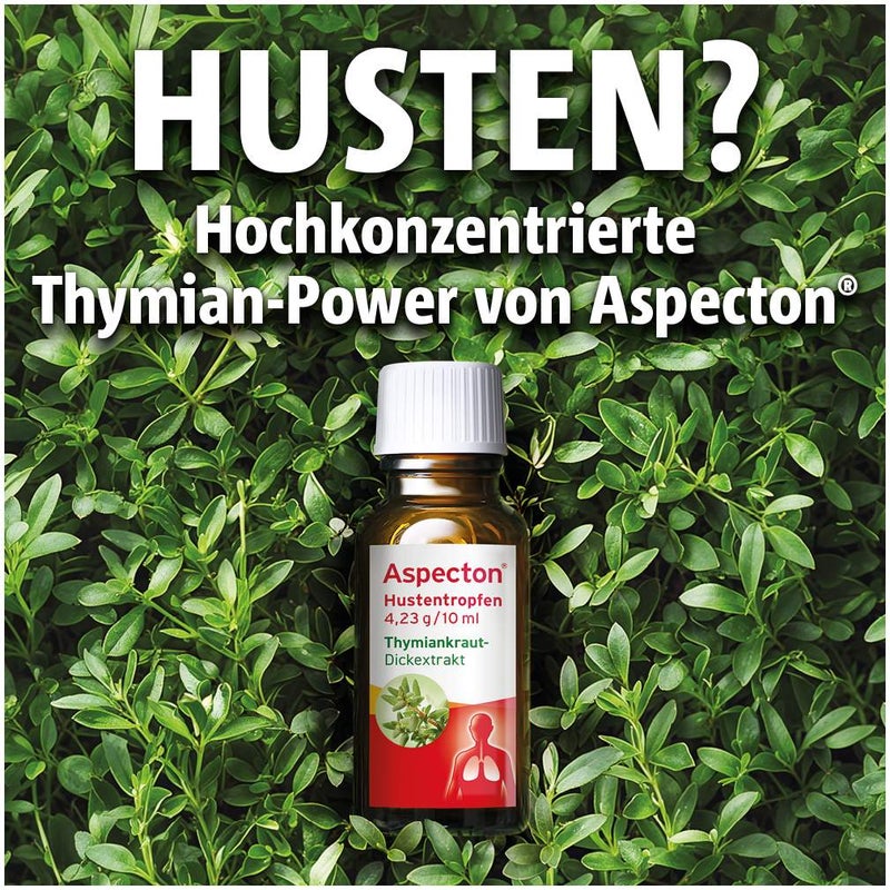 Aspecton Hustentropfen 50 ml Tropfen
