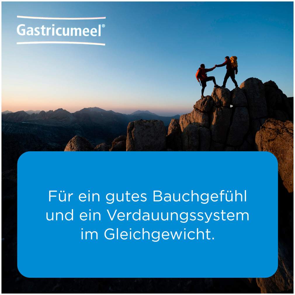 Gastricumeel 50 Tabletten