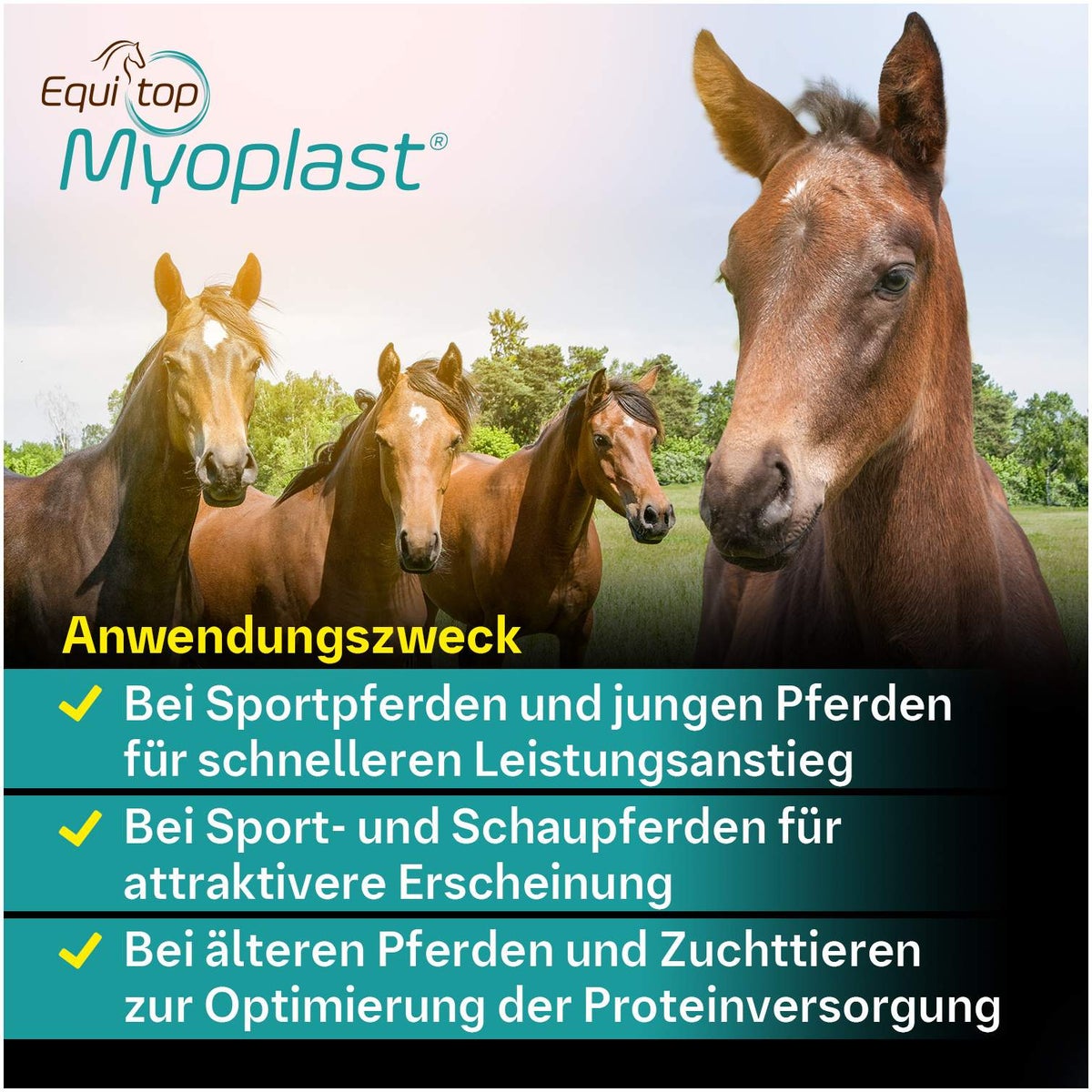 Equitop Myoplast 1,5 kg Granulat