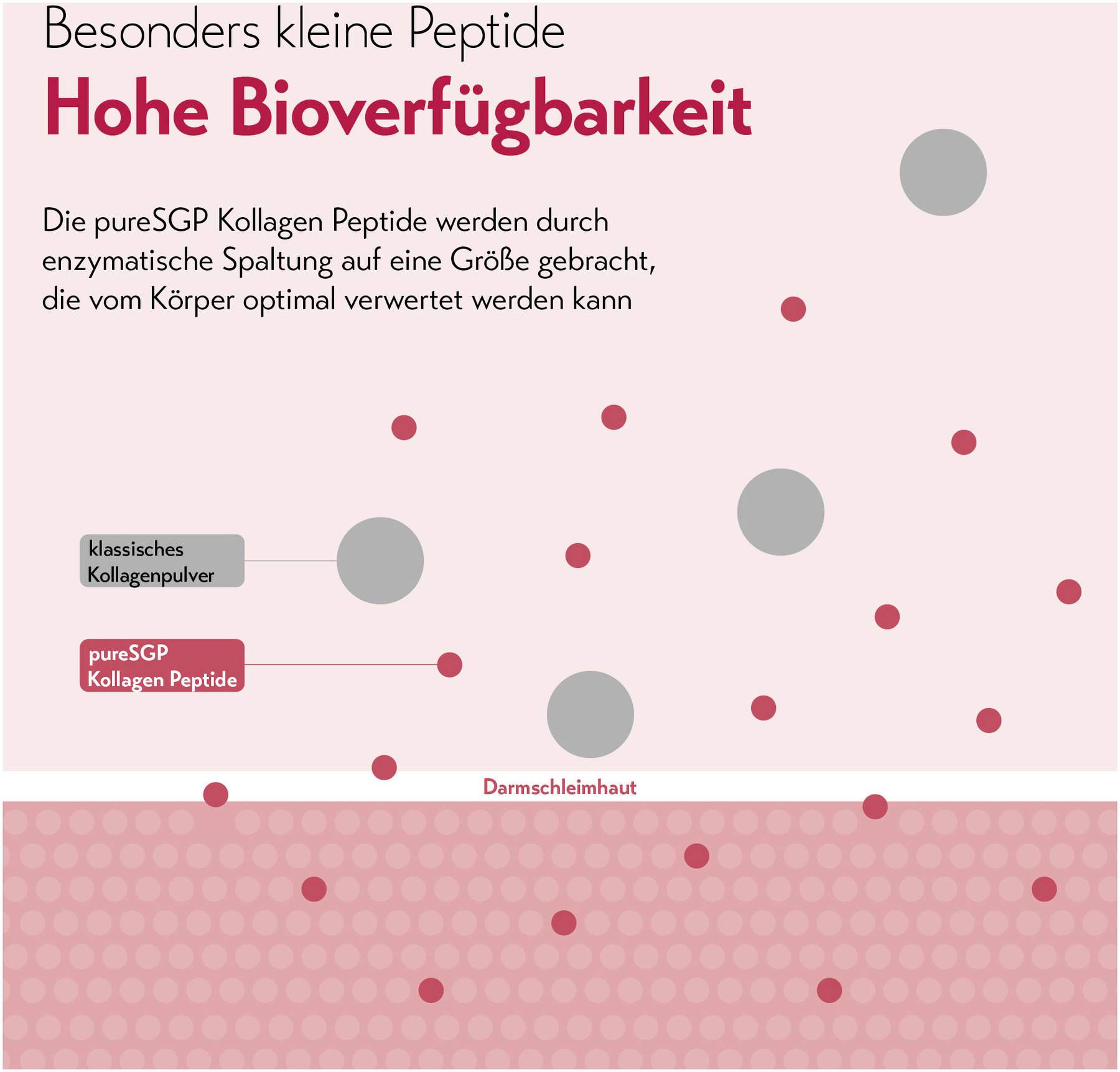 PureSGP Kollagen Peptide 900 g Pulver
