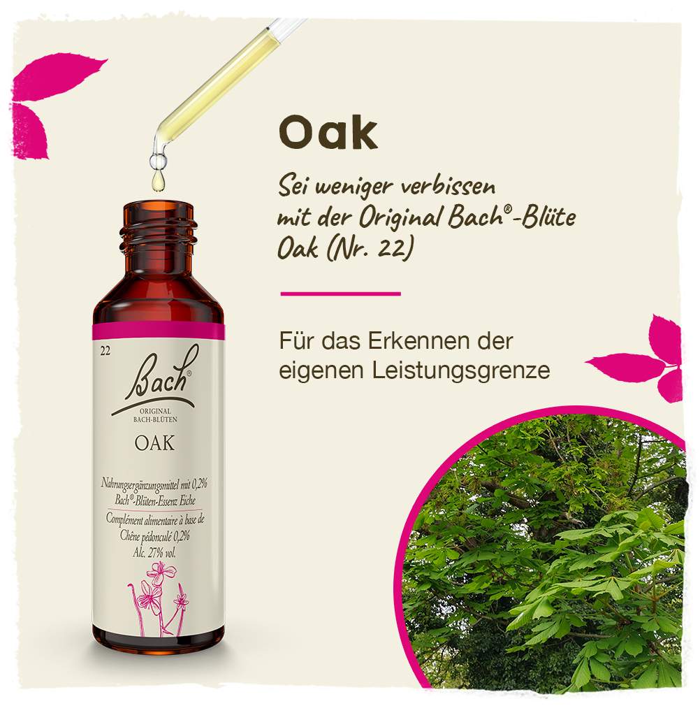 Bachblüten Oak 20ml Tropfen