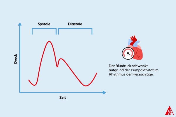Was ist Blutdruck? Eine Illustration, die zeigt, wie Blutdruck funktioniert. Der Blutdruck schwankt aufgrund der Pumpaktivität im Rhythmus der Herzschläge.