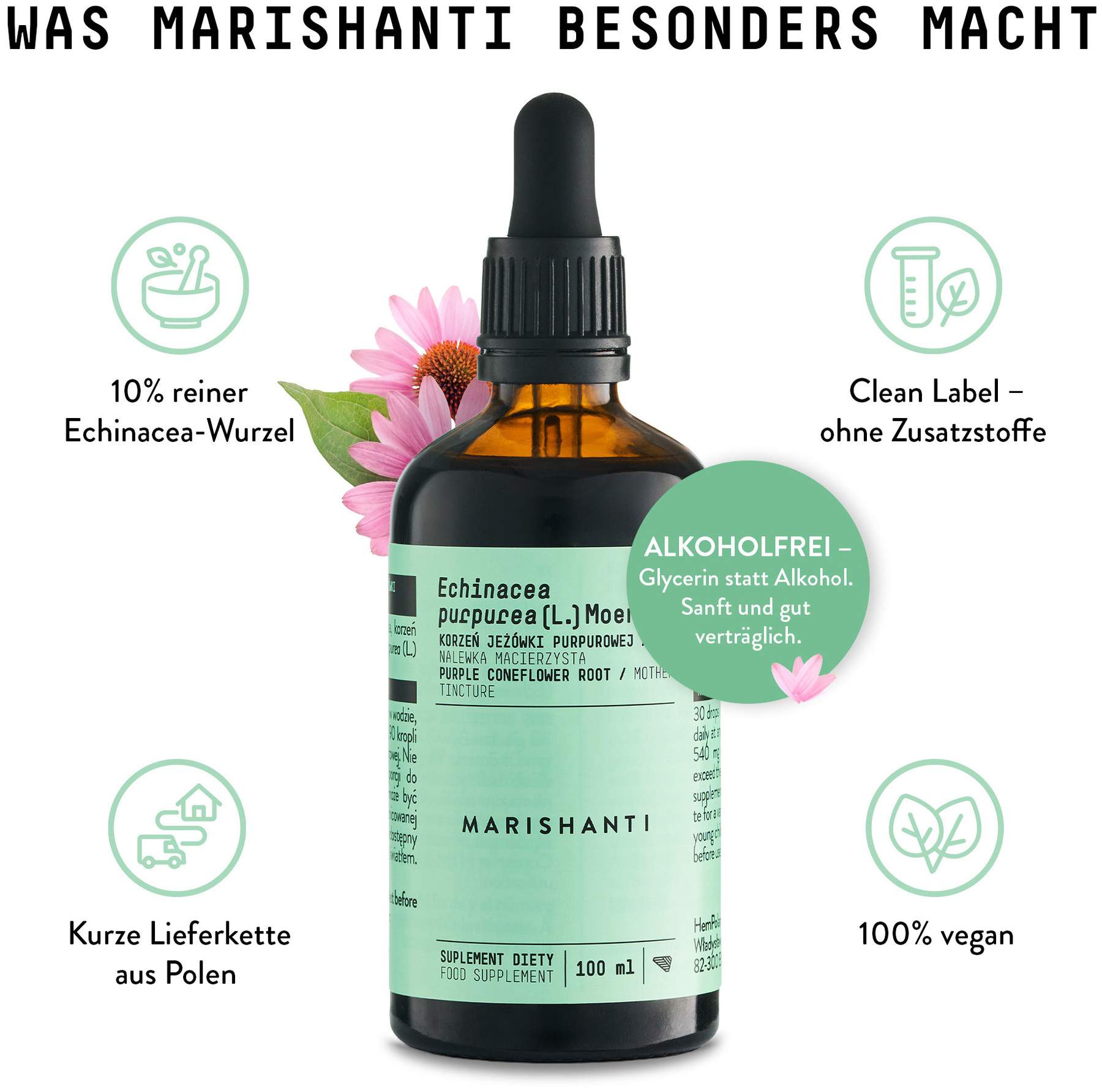 Echinacea Wurzel Extrakt Tropfen alkoholfrei 100 ml