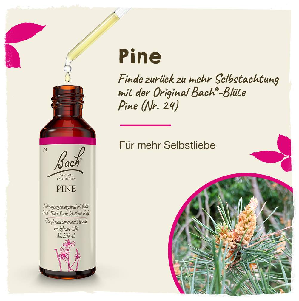 Bachblüten Pine 20 ml Tropfen