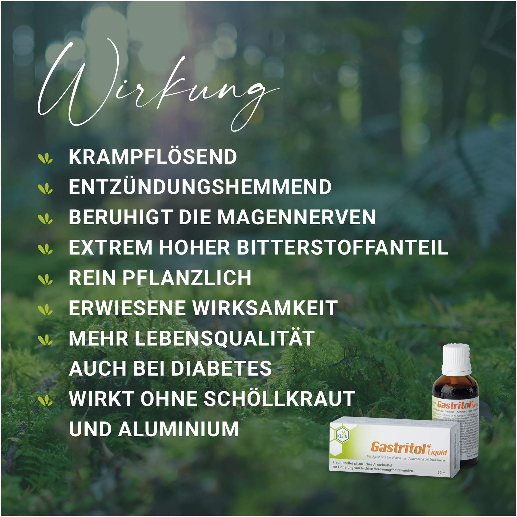 Gastritol Liquid Flüssigkeit zum Einnehmen 20 ml