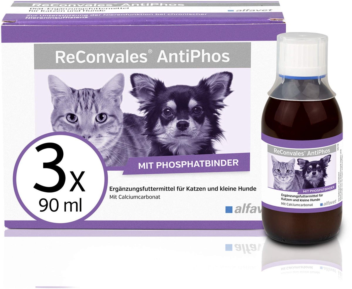 Reconvales Energy Diätergänzungsfuttermittel 180 ml Flüssigkeit für Katzen und kleine Hunde