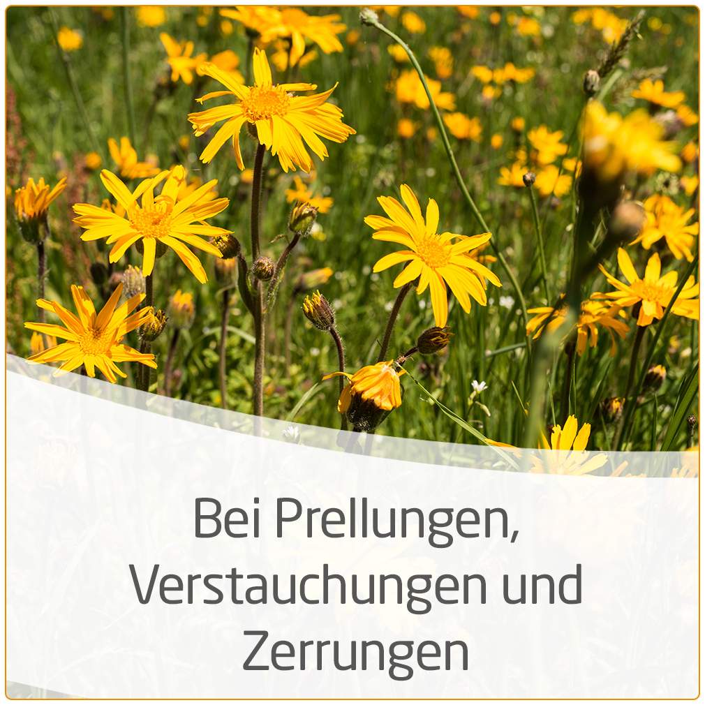 Weleda Arnika-Salbe 30% 70g Salbe