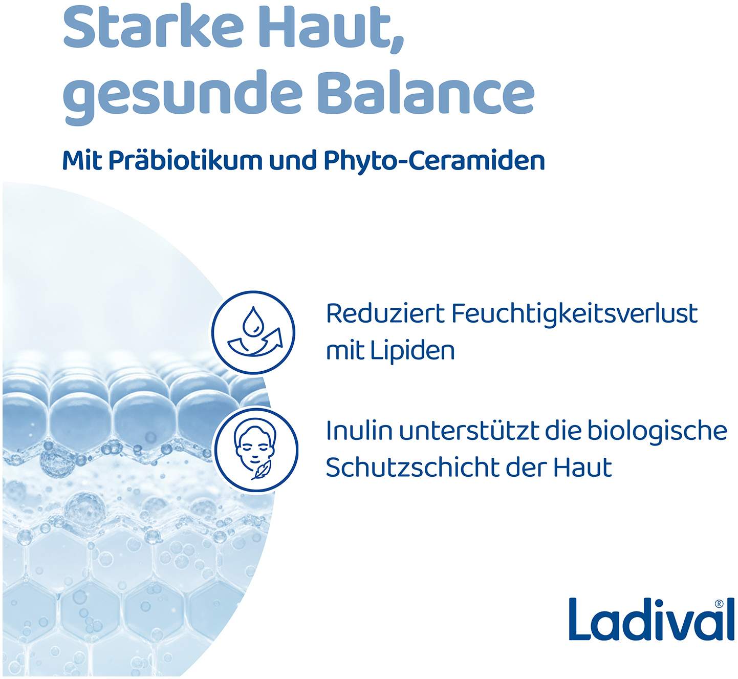 Ladival Hautbarriere Repair Sonnenschutz LSF 50+ 50 ml