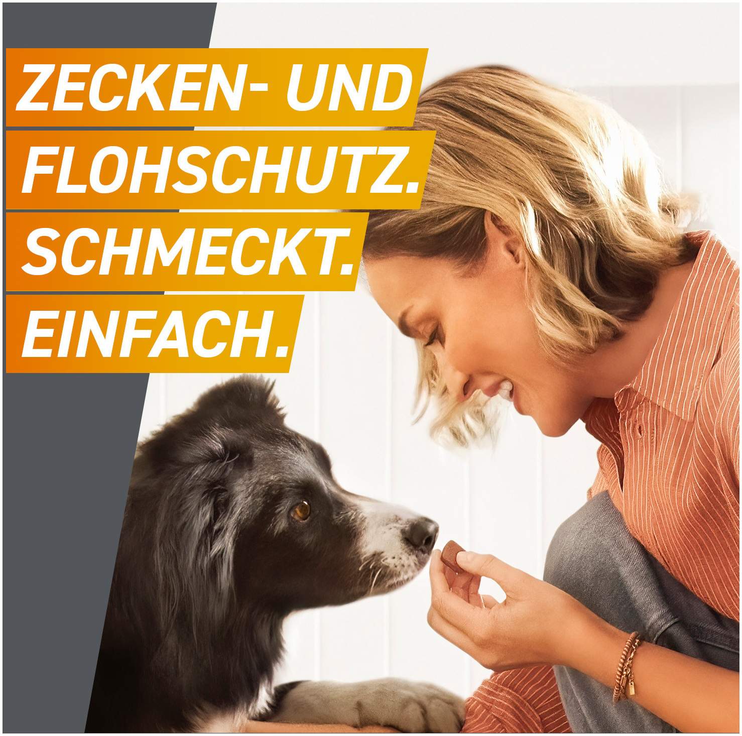 Frontpro 68 mg für Hunde 10-25 kg 3 Kautabletten