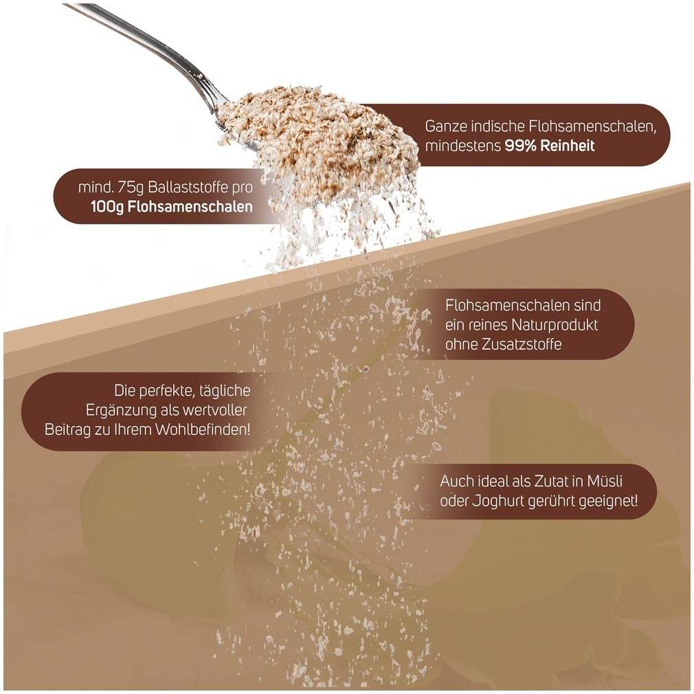 Flohsamenschalen indisch 500 g