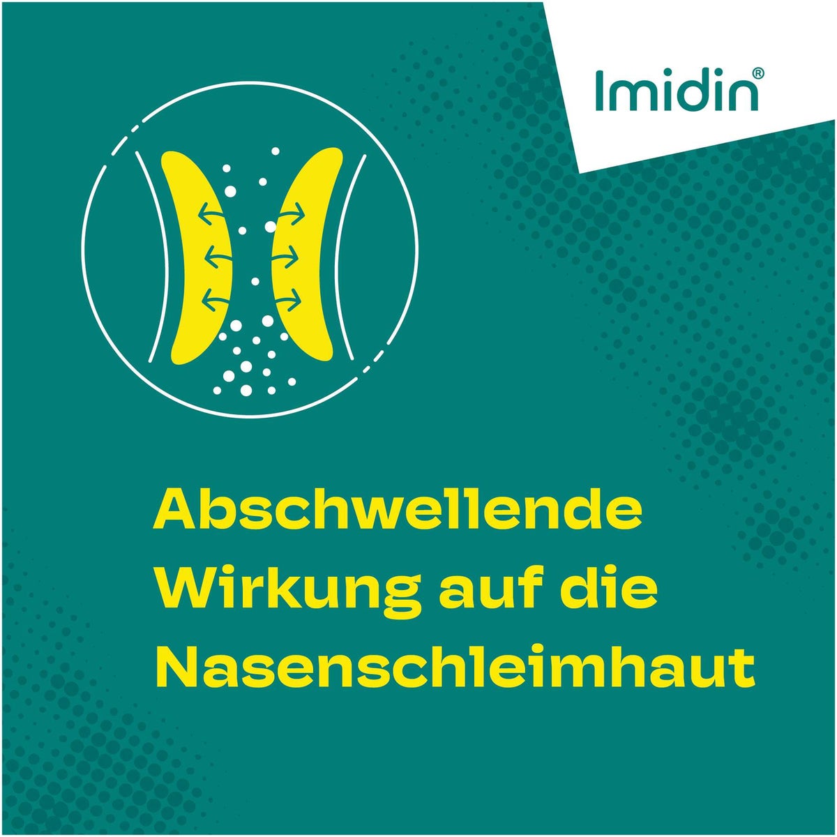 Imidin N Nasenspray 10 ml