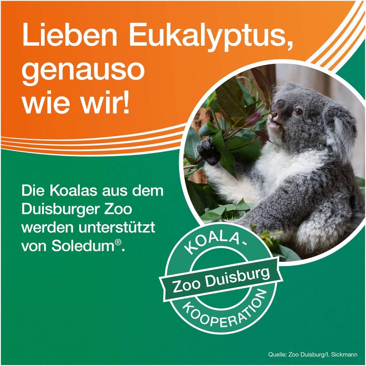 Soledum Kapseln Junior 100 mg 20 magensaftresistente Kapseln