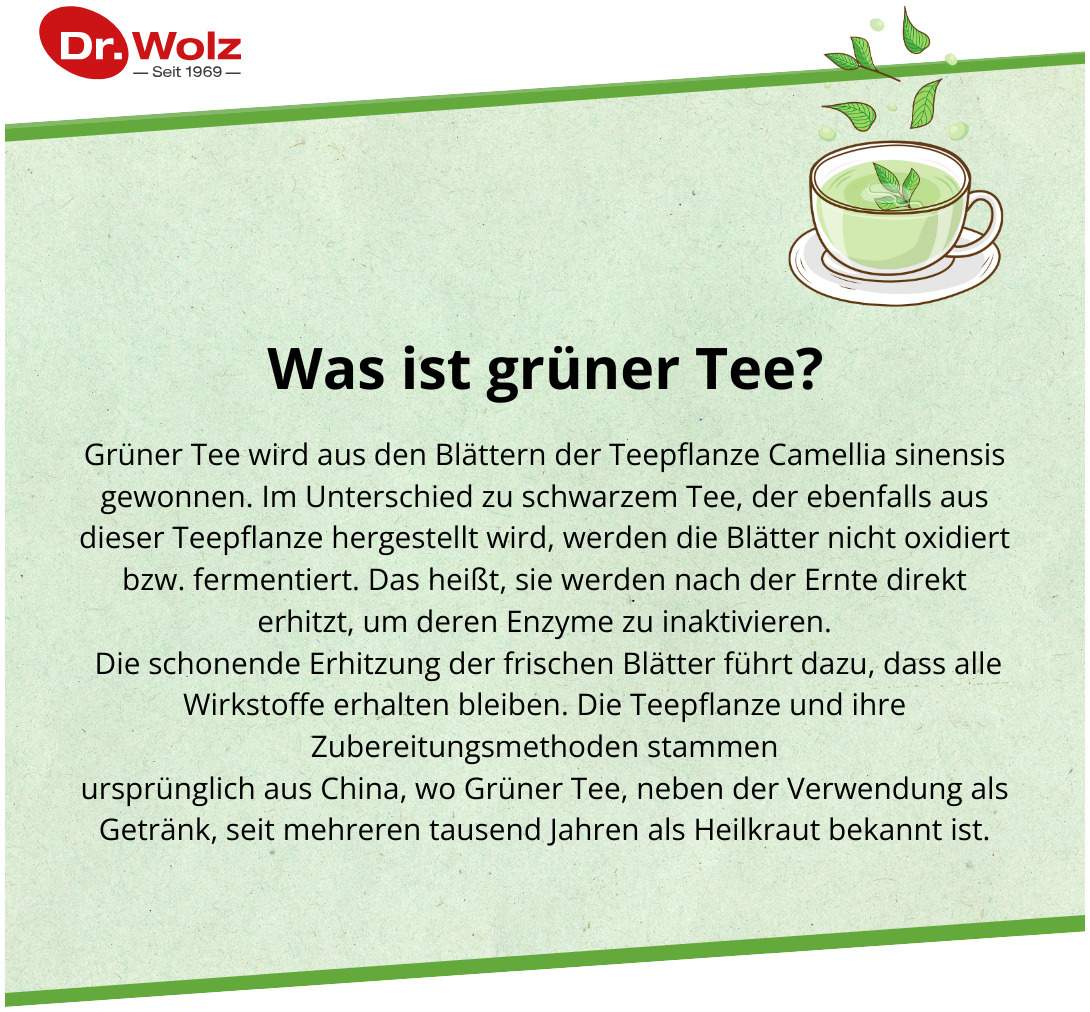 Grüntee Extrakt Dr.Wolz 120 Kapseln