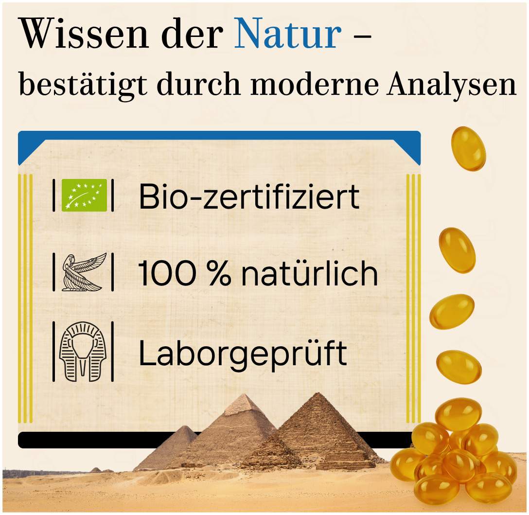 Schwarzkümmel Bio Vegan 180 Kapseln