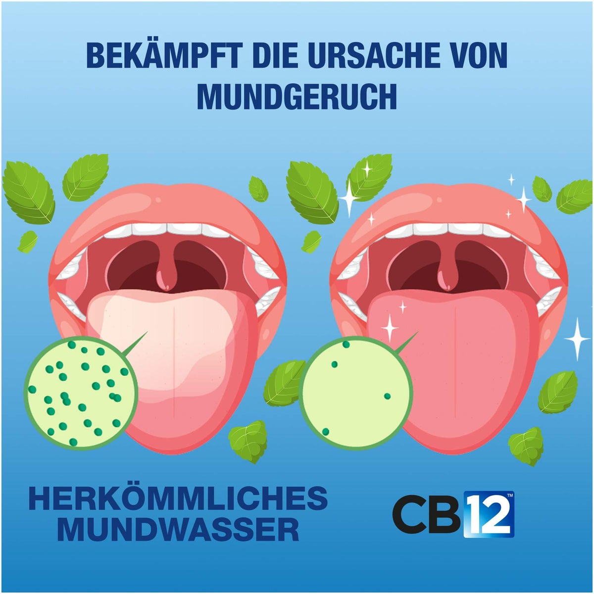 CB12 Mundspüllösung 500 ml