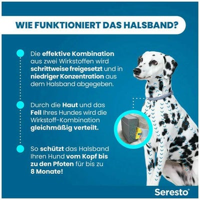 Seresto Halsband für große Hunde 1 Stück