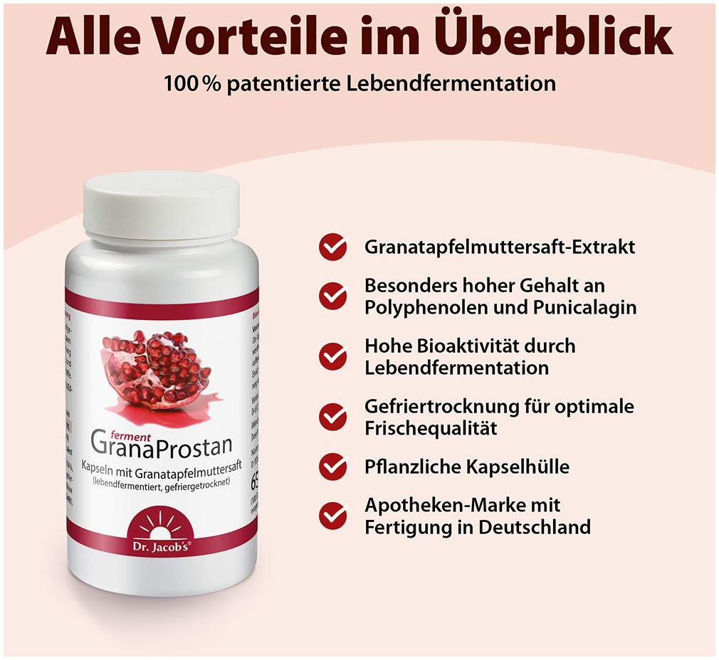 Granaprostan Ferment Dr.Jacob`s 100 Kapseln