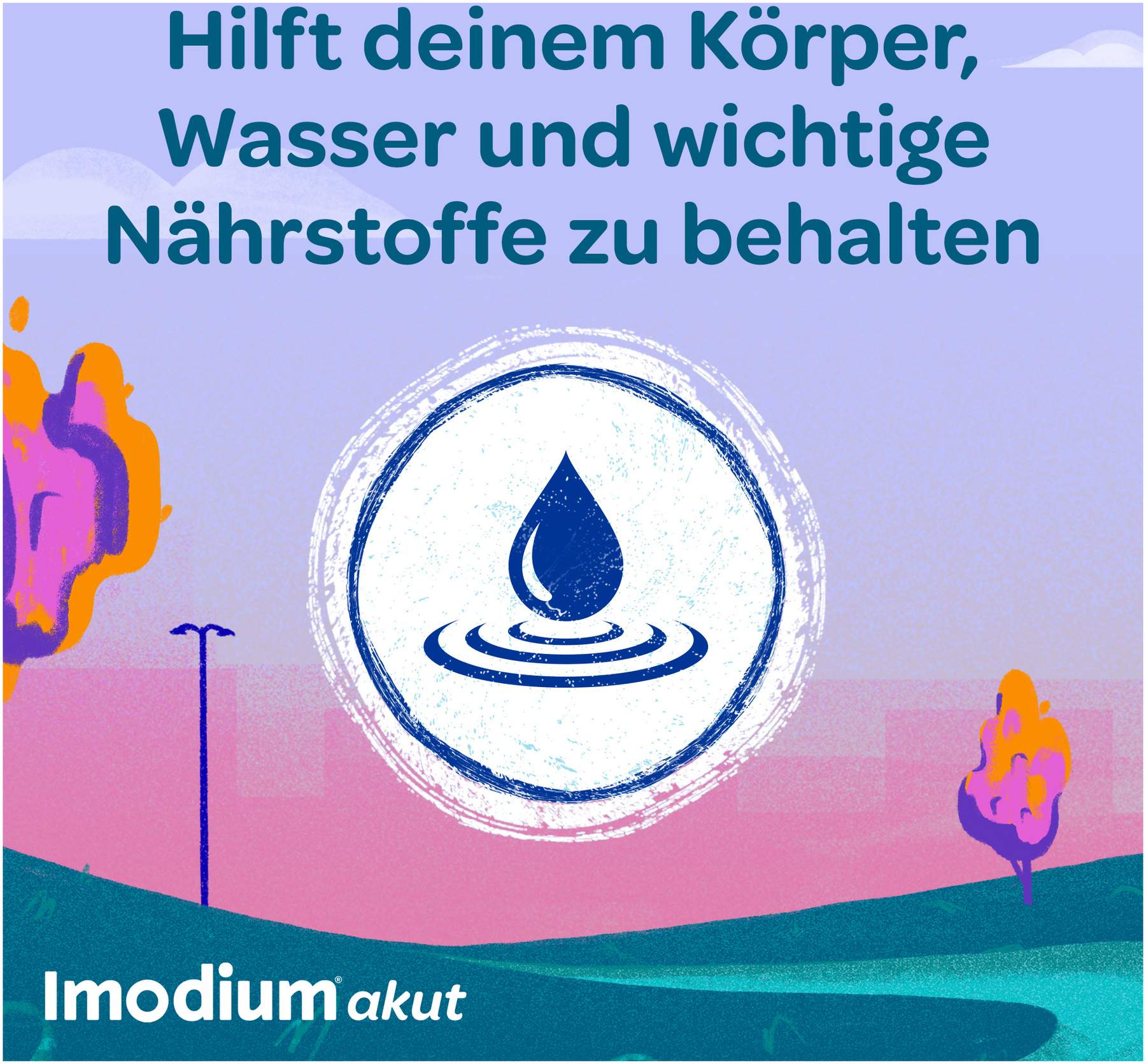 Imodium akut Duo 2 mg 125 mg 12 Tabletten