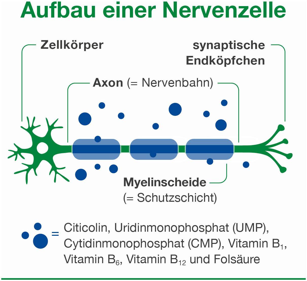 Neurologes Concept 30 Kapseln