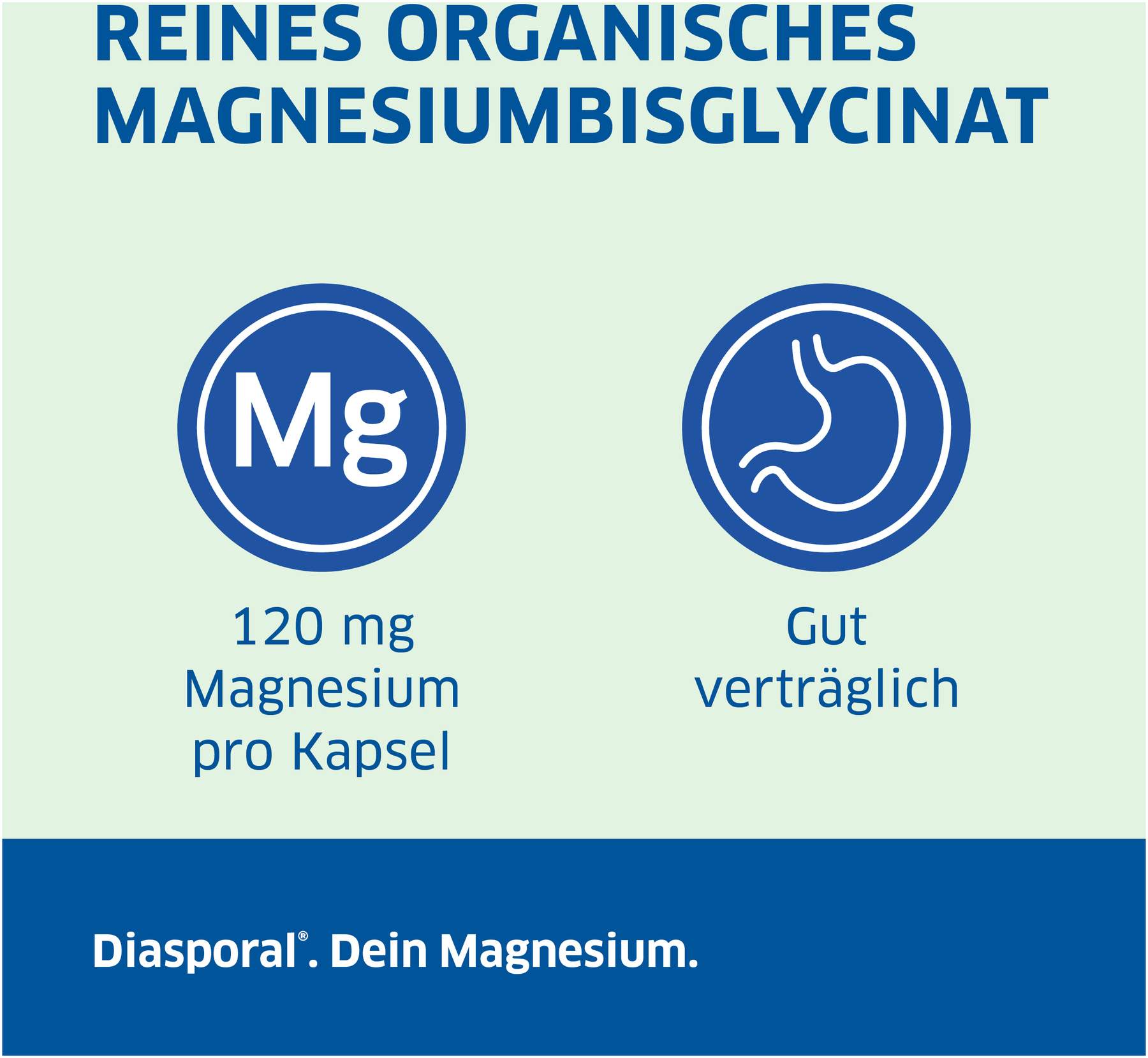 Magnesium Diasporal Bisglycinat pure 90 Kapseln