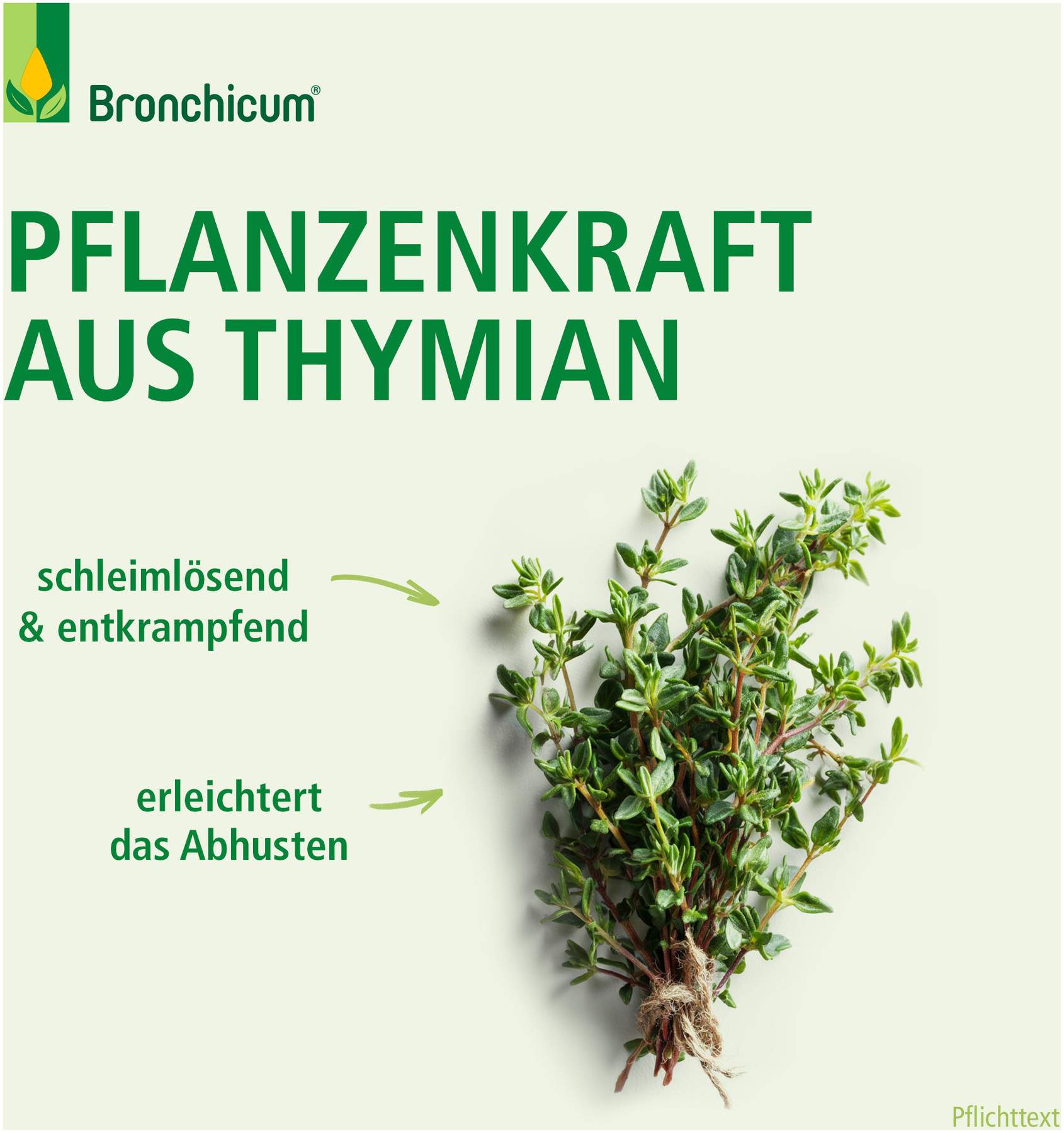 Bronchicum Thymian Lutschpastillen 20 Stück