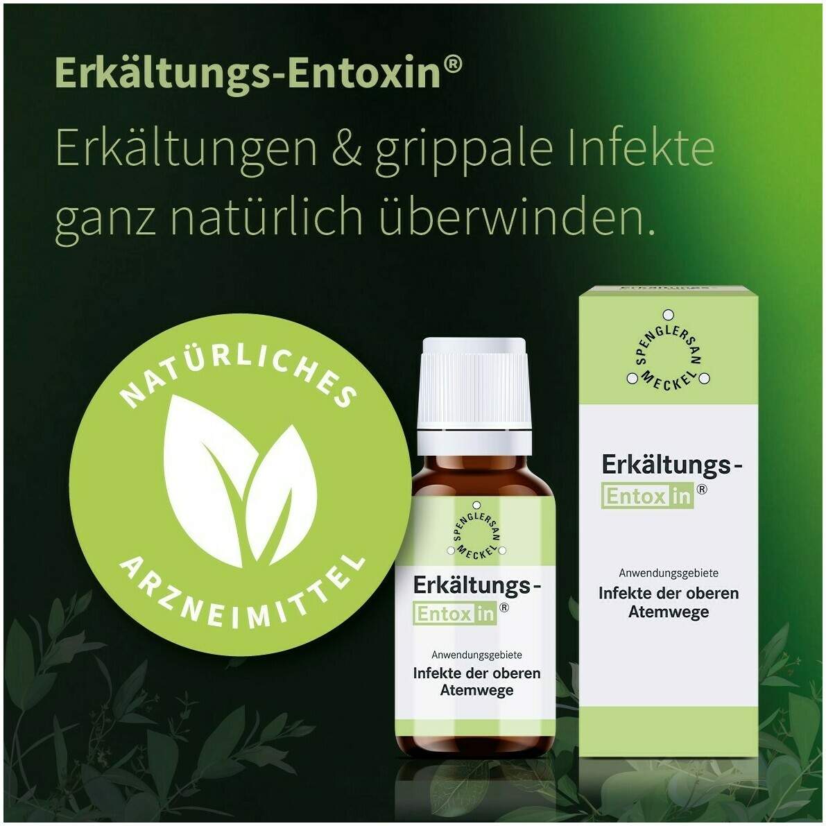 Erkältungs Entoxin 100 ml Tropfen