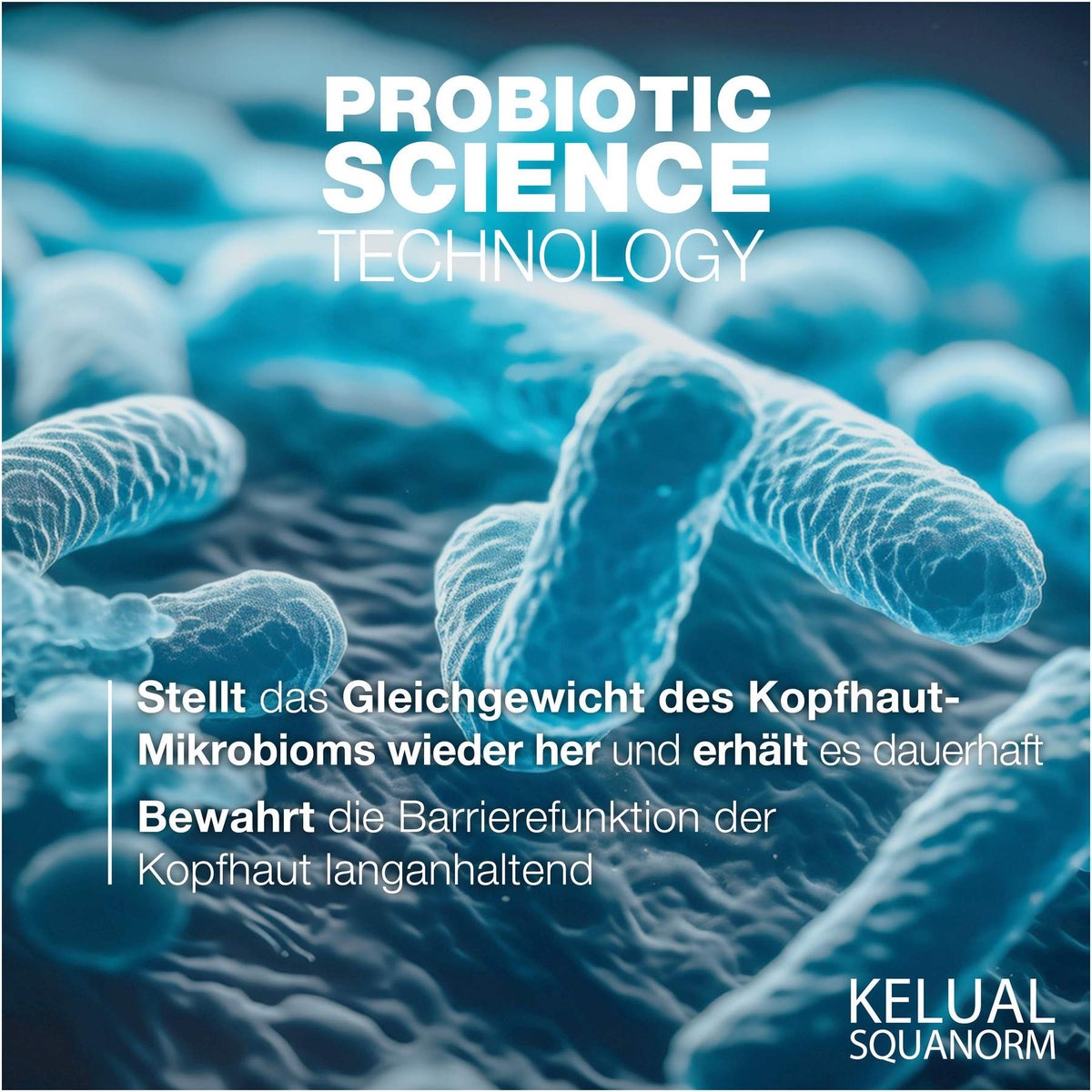 Ducray Kelual Squanorm Kopfhaut Tonikum 200 ml