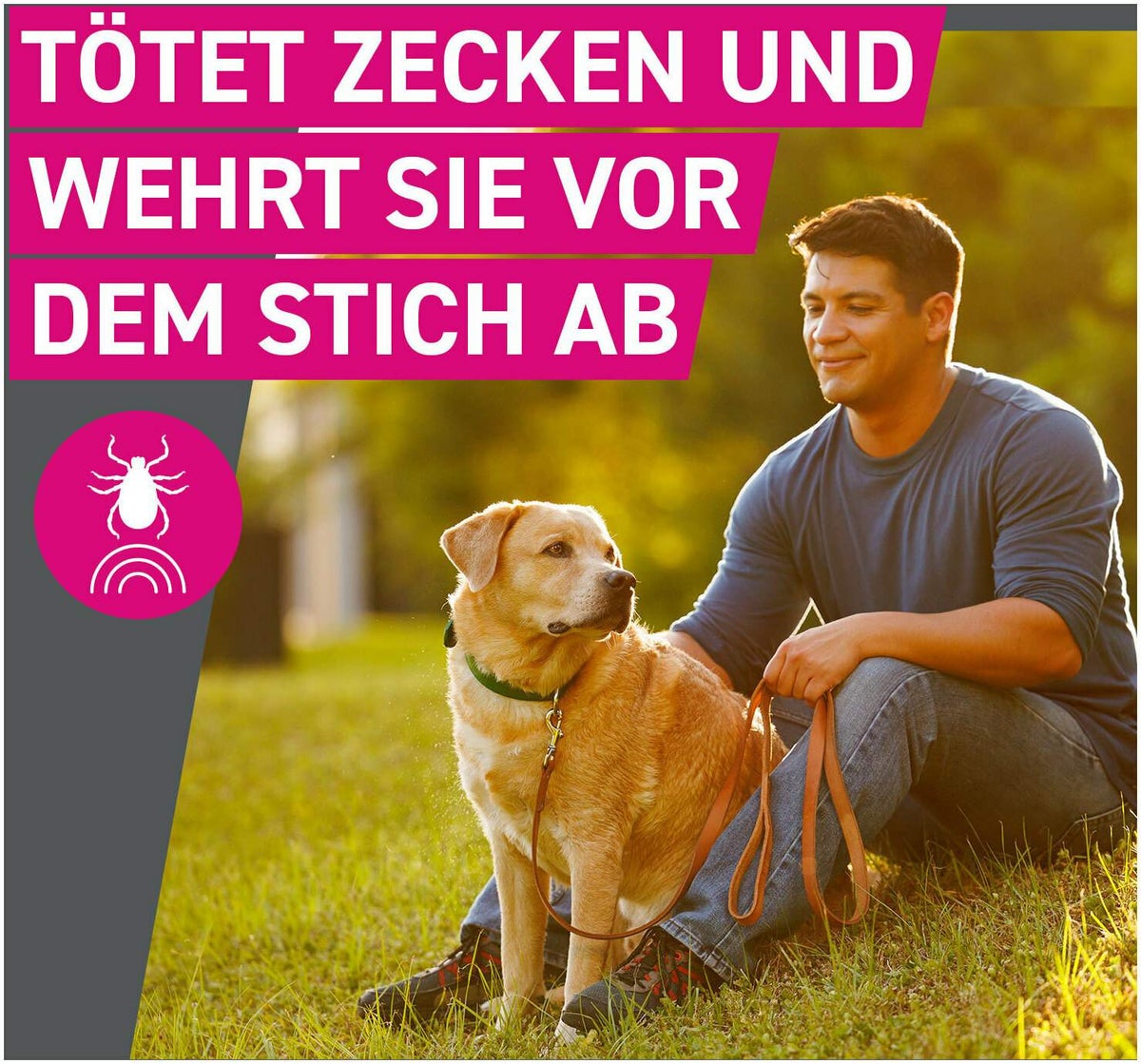 Frontline TRI-ACT Hund 5-10 kg 3 Pipetten