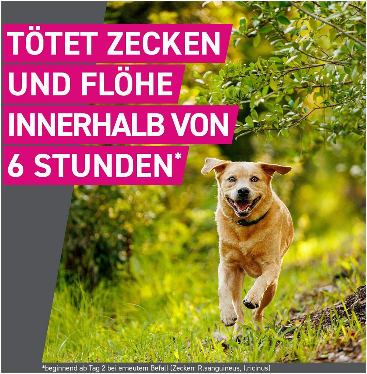 Frontline TRI-ACT Hund 40-60 kg 3 Pipetten