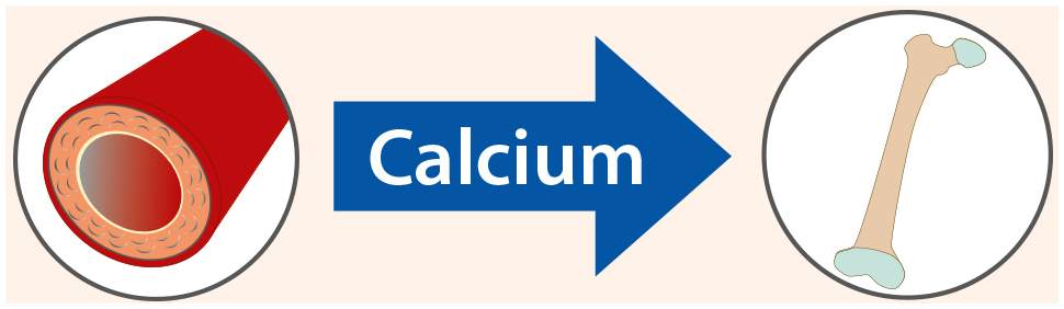 Vitamin K2 Öl Dr.Jacob s Tropfen